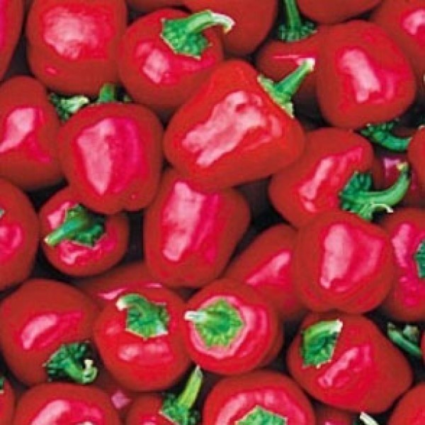 9365_MiniBellRed.jpg