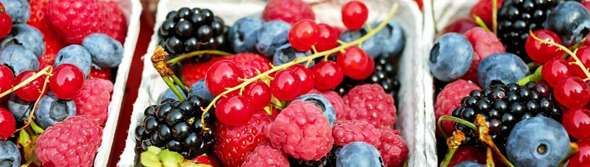 Beeren Samen - online kaufen bei saatgut-biene.de | Saatgut-Biene