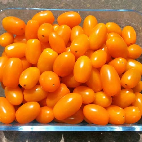 San_Marzano_Mini_Orange_Tomaten_Samen_1.jpg