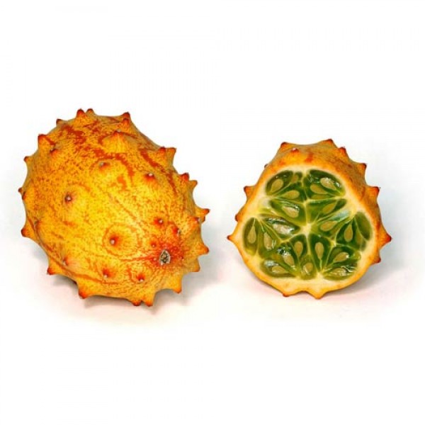 Horngurke_Kiwano_Samen_1.jpg