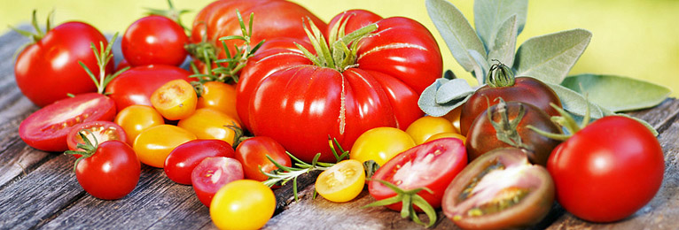 Tomaten-Tipps