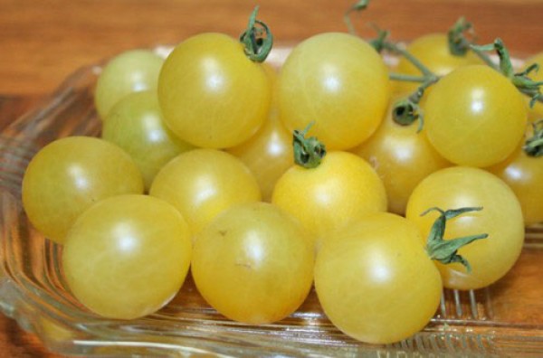 White Cherry Tomaten Samen