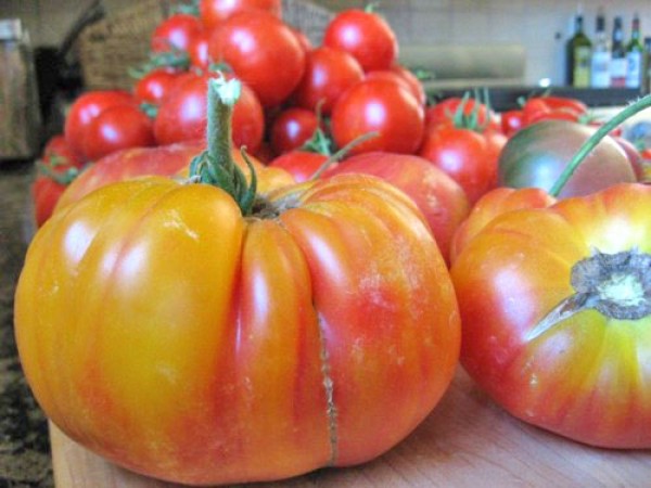 Flame Tomaten Samen