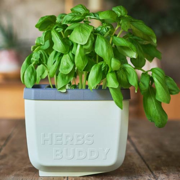 Herbs Buddy Kräutertopf grau