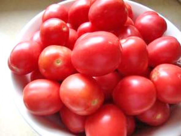 Porter Tomaten Samen