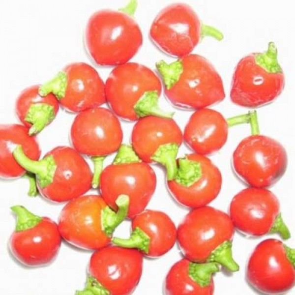 Red_Cherry_Small_Chili_Samen_1.jpg