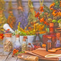 Heilpflanzen und -kräuter Heilpflanzen und -kräuter